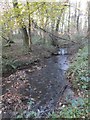 Gavenny within Great Triley Wood