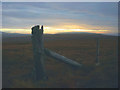 NY6546 : North Pennine fence post by Karl and Ali