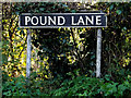 TM3292 : Pound Lane sign by Geographer