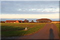 The road to Sea Bank Farm