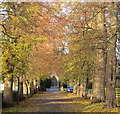 Cemetery path, Malton