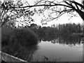 The Thames near Black Potts bridge