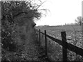 The Thames Path, south of Datchet