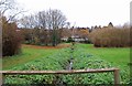 Ditch near the River Severn, near Bewdley, Worcs