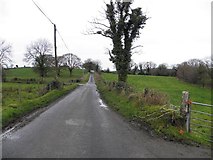 H3175 : Willmount Road, Killen by Kenneth  Allen
