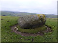 SO1657 : Bryn-y-maen standing stone by Jeremy Bolwell