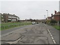 Meadow Lane - viewed from Beech Avenue