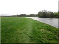 NY0831 : Grassland alongside the River Derwent by Graham Robson