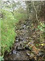 Minor stream close to joining the River Derwent