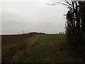 TM3771 : Bridleway to Peasenhall Road by Geographer