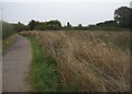 SU6050 : Cycle path reaches Basingstoke by ad acta