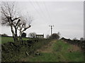 Footpath approaching Wood Nook