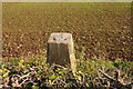 Top of a trig point