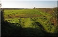 Field near East Glasdon