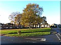 Village Green, North Gosforth