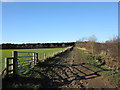 Farm road near to West Hall Cottage