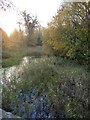 The River Ash: view upstream from Squire