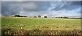 Field by the East Coast Main Line