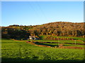 Grazing fields south of Bryn Melyn