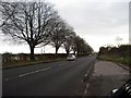 SK0319 : The A51 looking back towards Rugeley by Tricia Neal