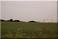 Farmland, Coventry Farm