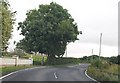 The meandering B30 (Cullaville Road) at Creevekeeran