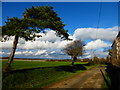 Road past Lowerhone Farm with wonderful clouds