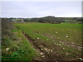 Arable land near Sidelands