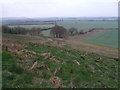 SU1172 : View from bridleway from Winterbourne Monkton to Ridgeway by Vieve Forward