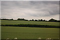 TL4910 : Farmland, Harlow Tye by N Chadwick