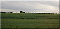 TL4705 : Farmland by the M25 by N Chadwick