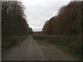 Access Road, Friston Forest