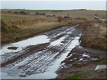TG0843 : Storm debris covering A149 at Salthouse, Norfolk by Richard Humphrey