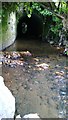 BCDR first culvert over Knock River (downstream end)