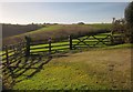 Gates near Tredis