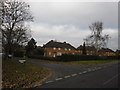 Looking from School Lane into Greatpin Croft