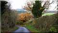 Lane in the Monnow valley