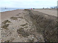 TF6636 : A bank of tidal debris on South Beach, Heacham by Richard Humphrey