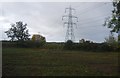 Pylon by ECML