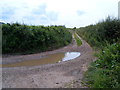 Public bridleway, Stinchcombe