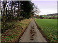 SE1136 : Access Lane leading away from Stocka House Farm by Chris Heaton