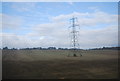 Farmland and pylon