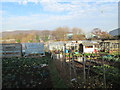 Allotments - Dewsbury Road