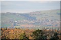 SX9496 : East Devon : Countryside Scenery by Lewis Clarke