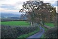 East Devon : Country Lane