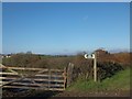 Bridleway to Kings Nympton