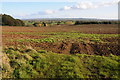 View over the Stour valley