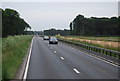 A11 crossing Larling Heath