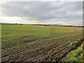 Farmland at Ardersier