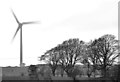 J3388 : Wind turbine, Carn Hill, Woodburn (1) by Albert Bridge